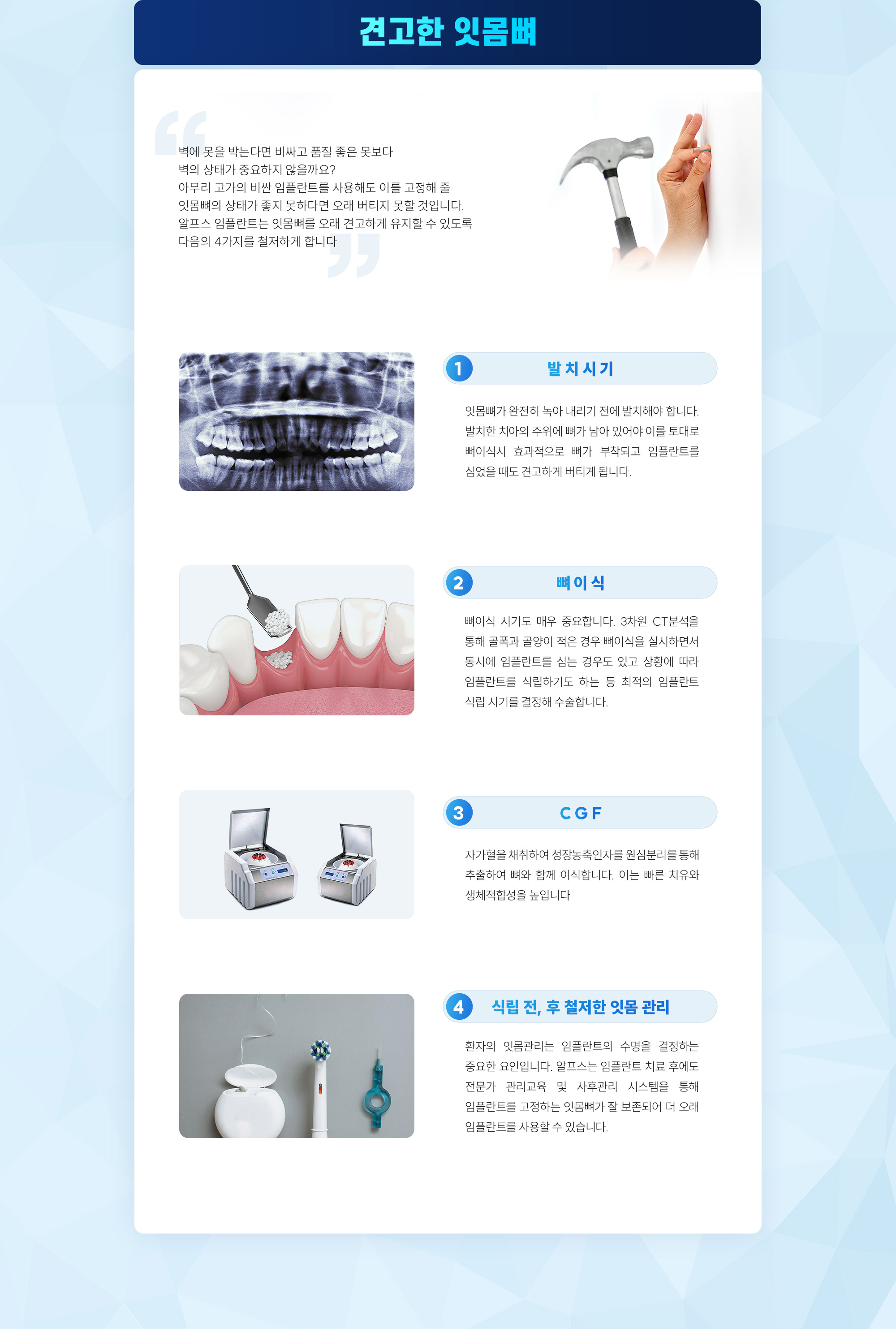 견고한 잇몸뼈